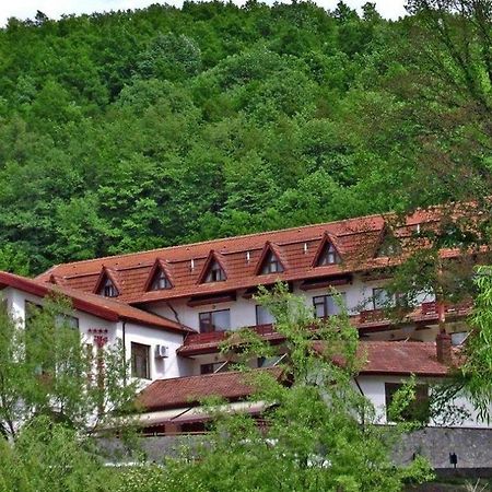 Hotel Mcpietroasa Hales Экстерьер фото