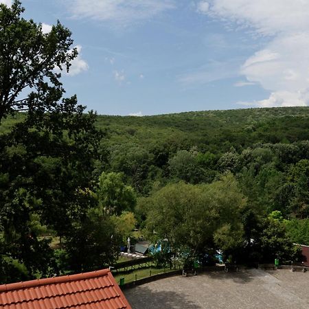 Hotel Mcpietroasa Hales Экстерьер фото