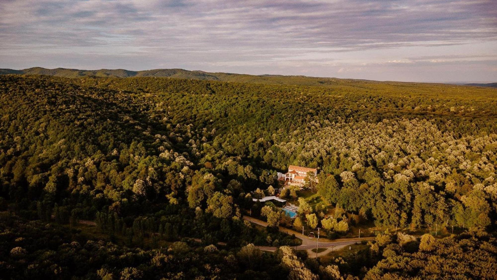 Hotel Mcpietroasa Hales Экстерьер фото