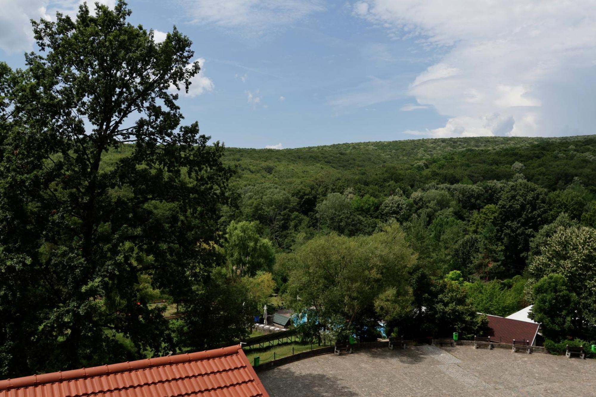 Hotel Mcpietroasa Hales Экстерьер фото
